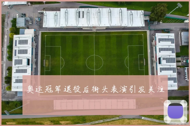 奥运冠军退役后街头表演引发关注