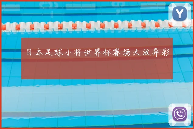 日本足球小将世界杯赛场大放异彩